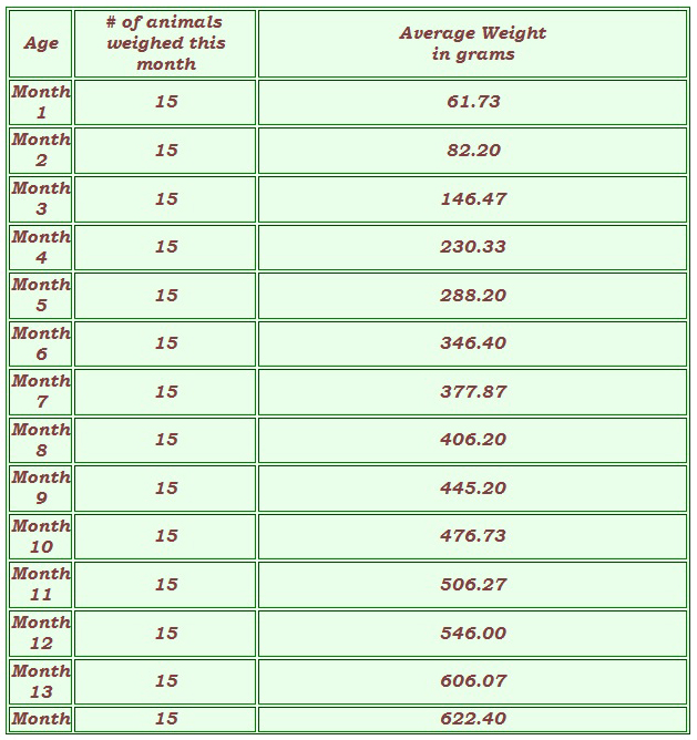 Ball Pythons average weight growth Cheryl Marchek